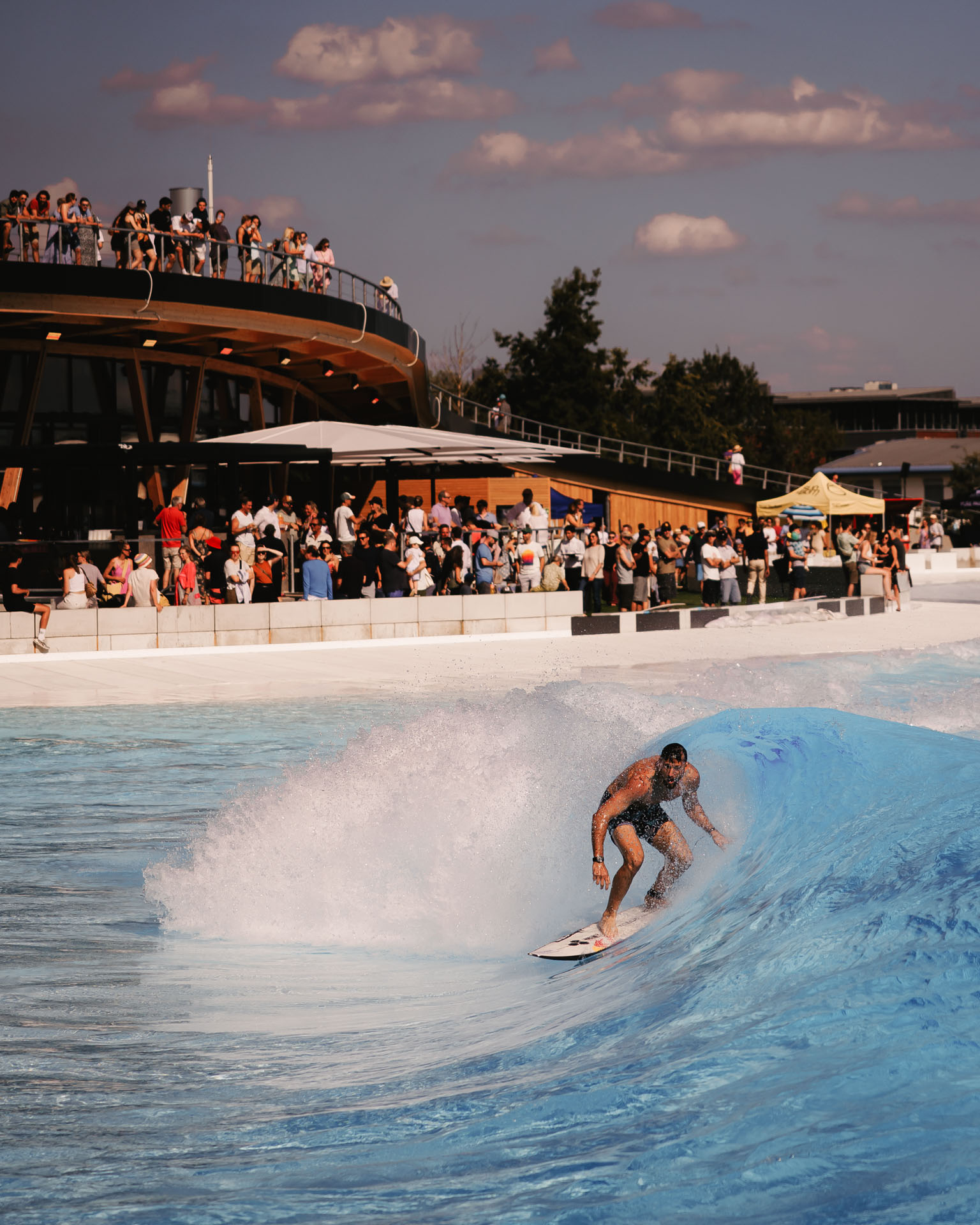 a photograph by Sandra Steh.