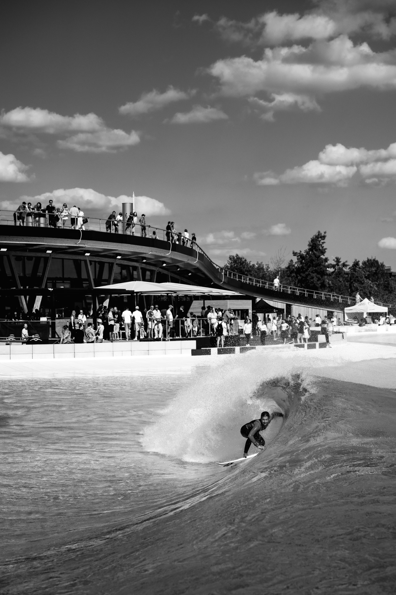 a photograph by Sandra Steh.