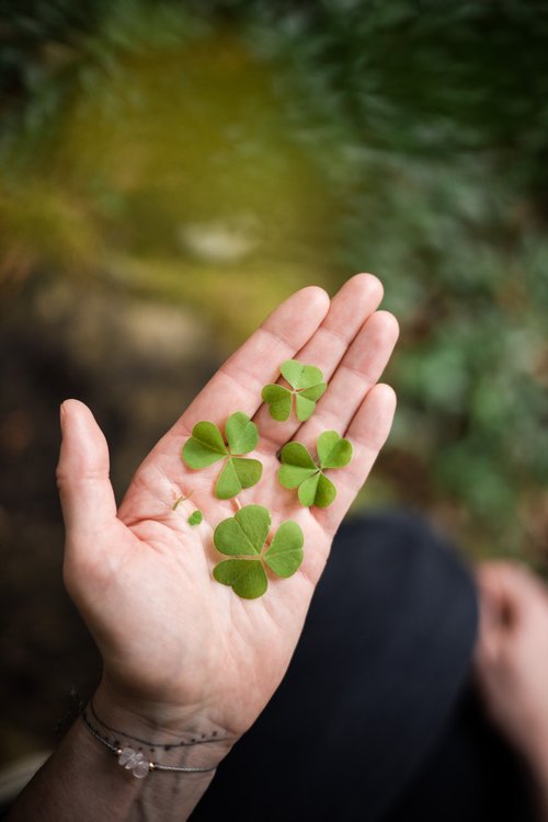 a photograph by Sandra Steh.