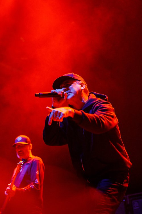 a photograph by Sandra Steh.