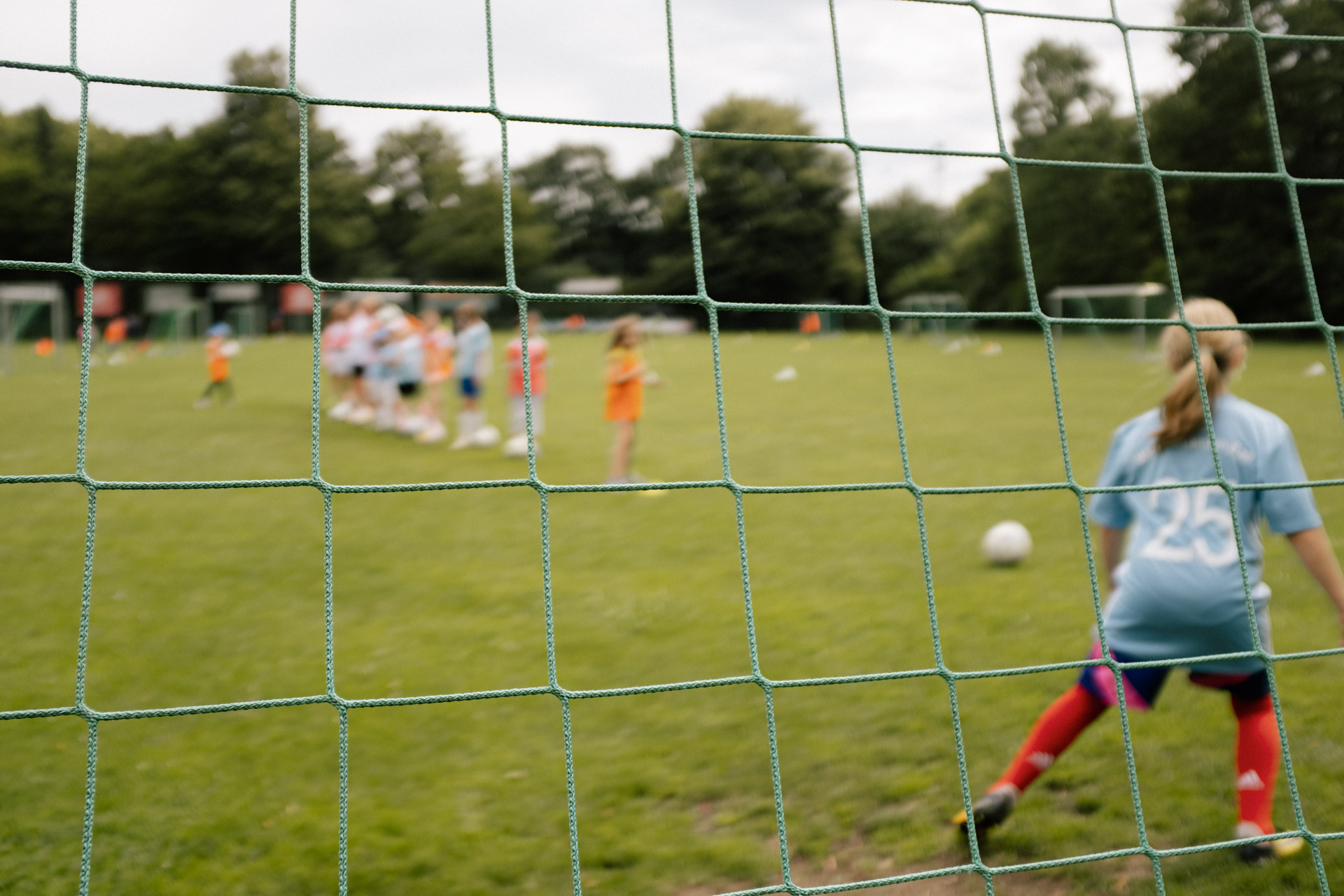 a photograph by Sandra Steh.