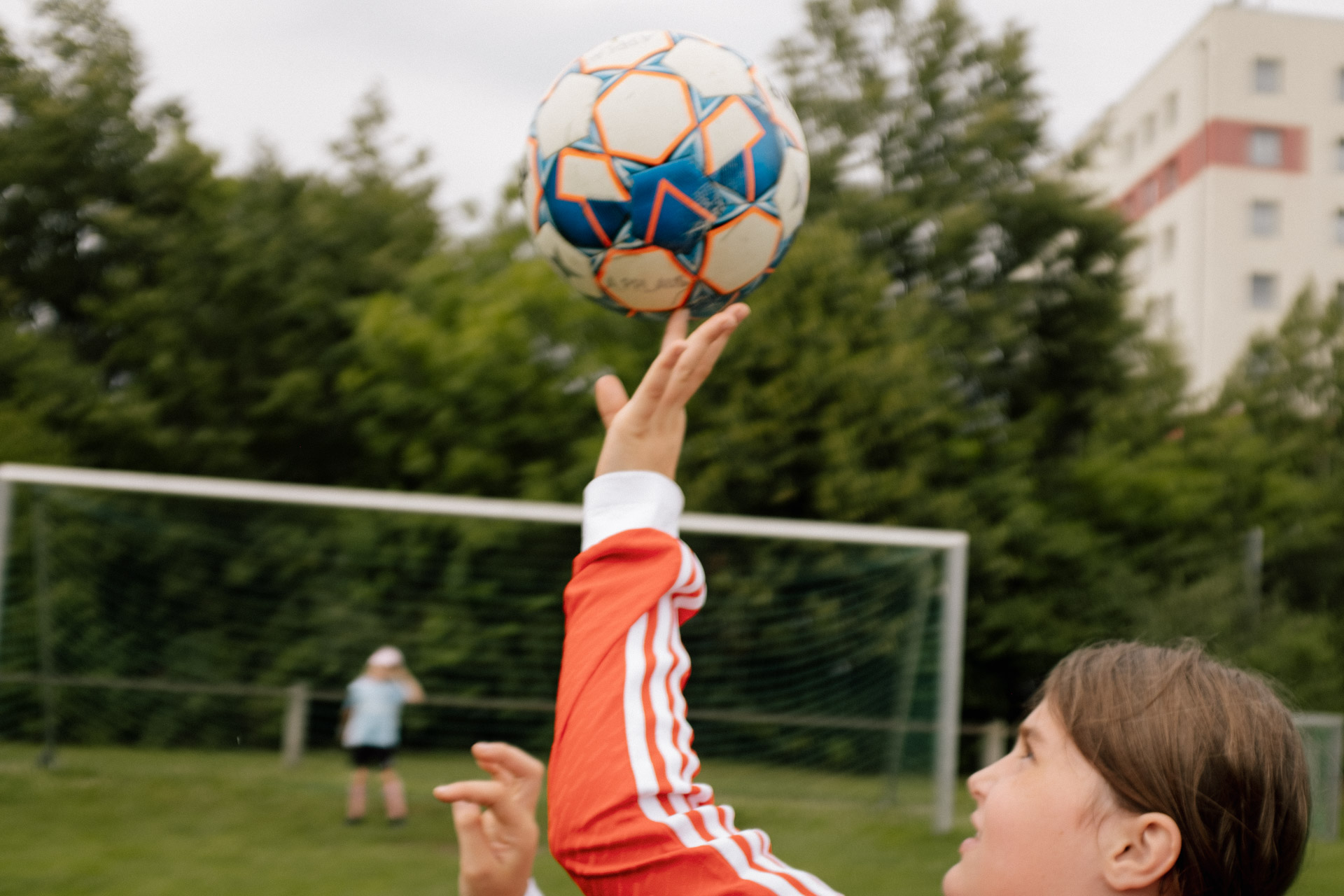 a photograph by Sandra Steh.