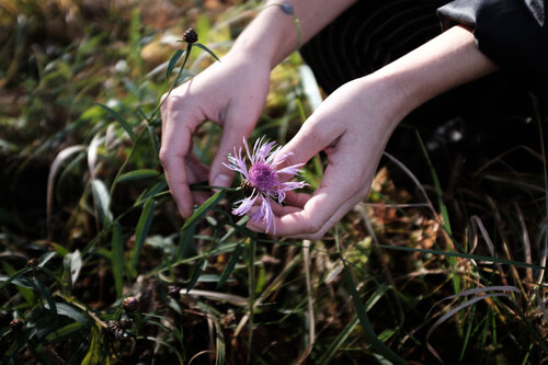 a photograph by Sandra Steh.