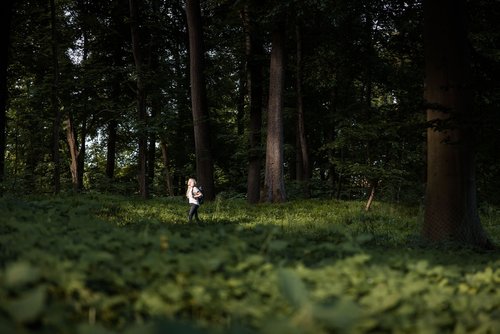 a photograph by Sandra Steh.