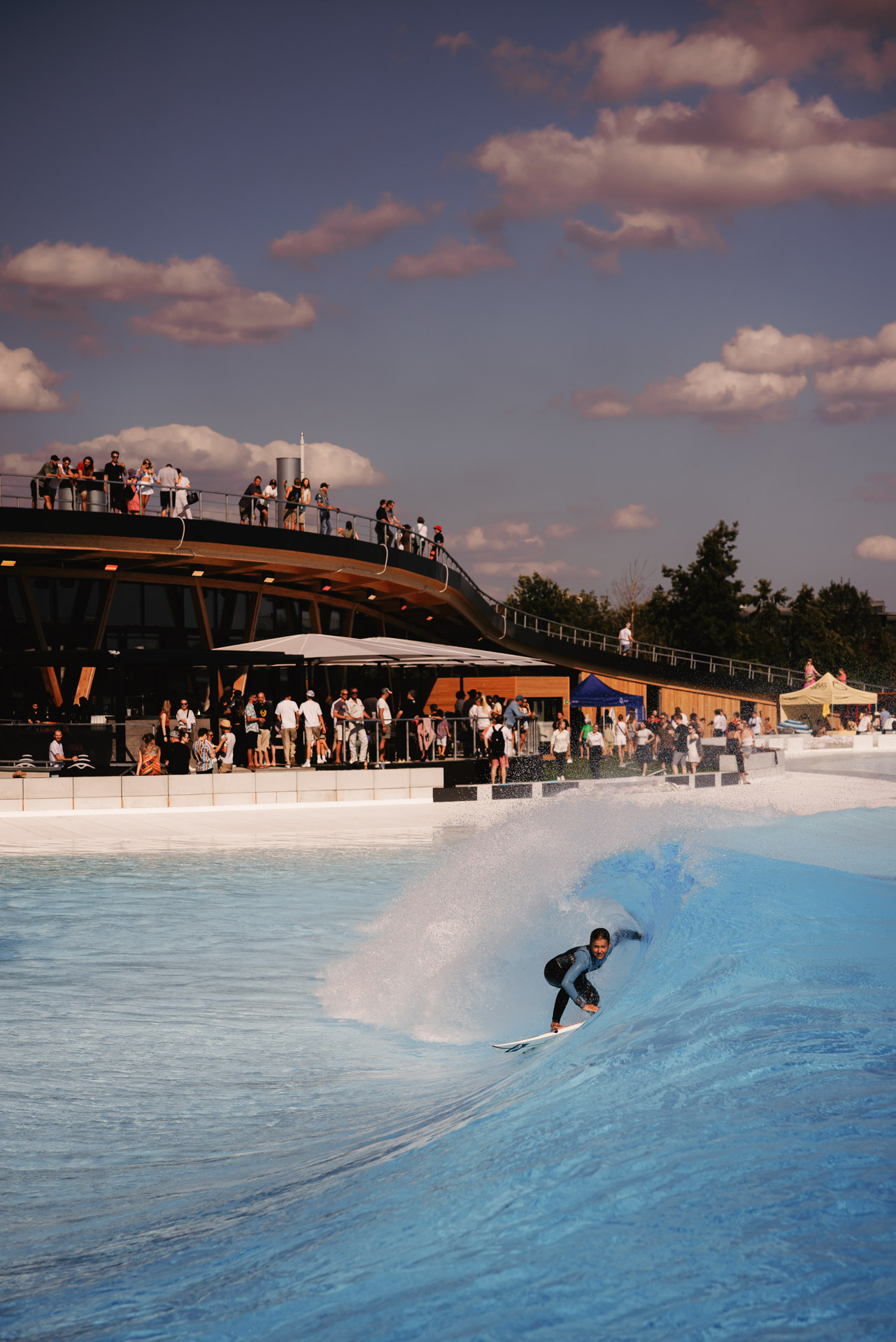 a photograph by Sandra Steh.